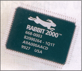 rabbit